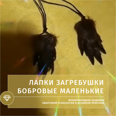 Лапки загребушки бобровые маленькие